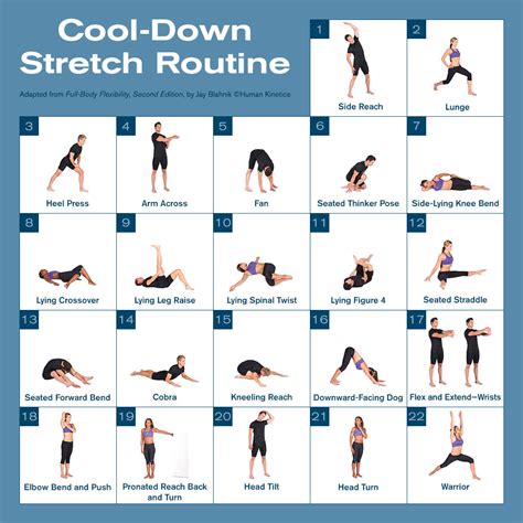 Cool-down stretch routine – Human Kinetics