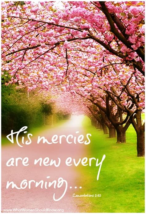 His mercies are new every morning! - Christin Ditchfield | Bible verses, Lamentations, Scripture ...