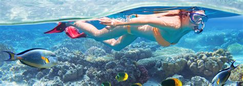 Hurghada Snorkeling Excursion - Snorkeling in Hurghada