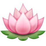 Lotus Flower Emoji Iphone | Best Flower Site