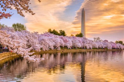 Washington D.C. Hotels Under $100 A Night | Green Vacation Deals