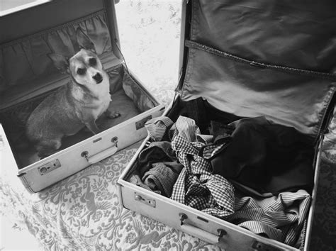 VINTAGE SUITCASES + UNEXPECTED GUESTS — OLD BRAND NEW