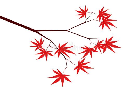 Japanese Maple stock vector. Illustration of forest, dingbat - 2491026