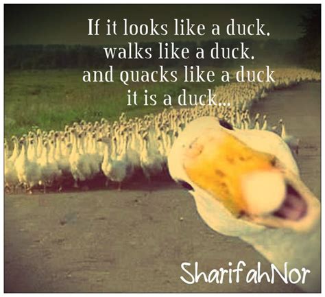 if it looks like a duck walks like a duck - Google Search | Duck quotes, Funny recovery quotes ...