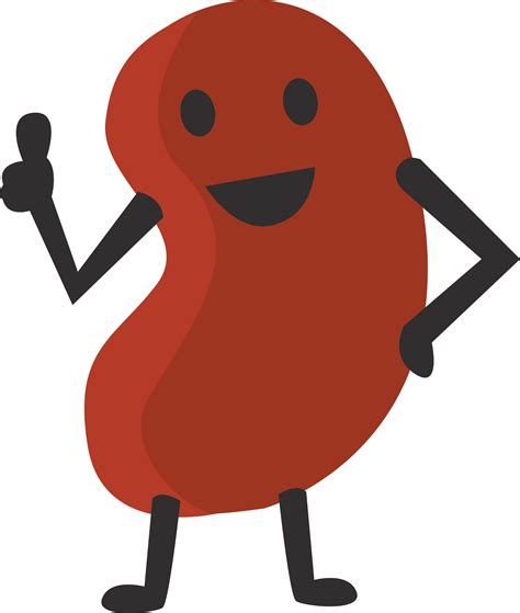 Keeping - Cartoon Kidney Bean Clipart - Full Size Clipart (#60892) - PinClipart