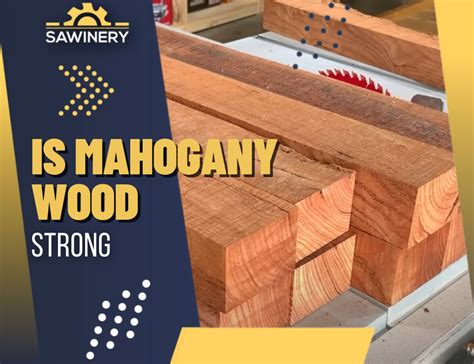 Is Mahogany Wood Strong? Is it Good for Furniture? [2023]