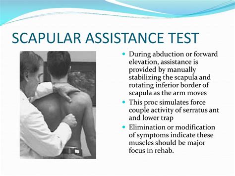 PPT - SCAPULAR DYSKINESIS & ITS RELATION TO SHOULDER PAIN PowerPoint Presentation - ID:375382