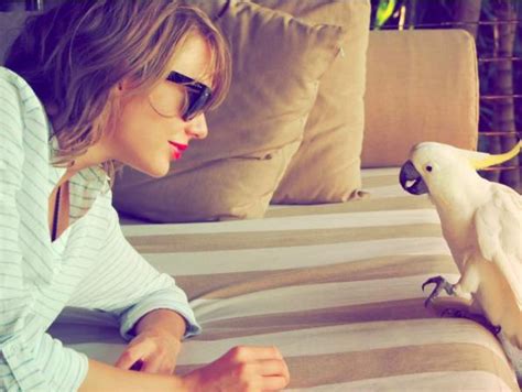 12 Of The Most Iconic Deleted Taylor Swift Instagram Posts That We Need ...