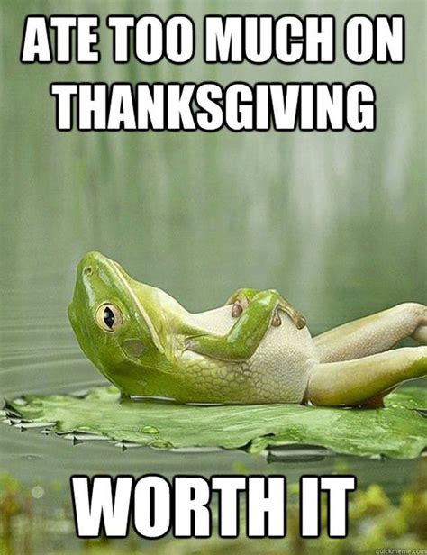 12 Funny Thanksgiving Memes That Capture Our Feelings For That Holiday ...