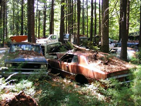 Massive Secret Mustang Junkyard Found In Rhode Island Forest