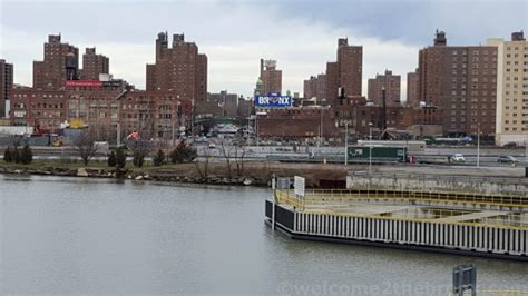 Federal Government Investigating Elevated Blood Lead Levels In NYCHA ...