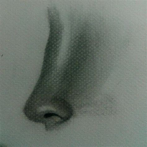 Nose drawing, nose shading, shading, sketch | Nose drawing, Drawings ...