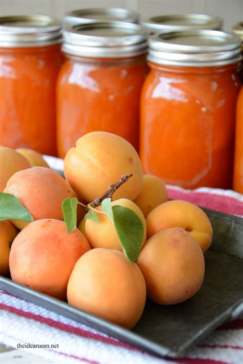 Apricot Jam - The Idea Room