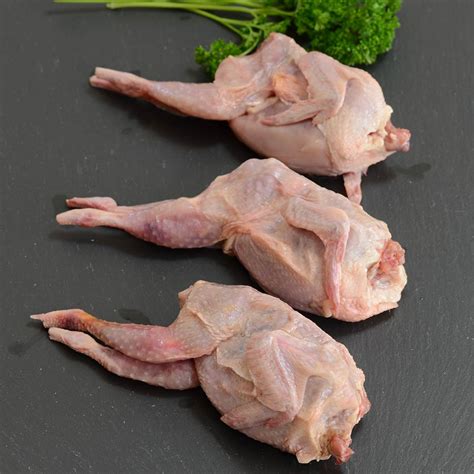 Quail Meat for Sale | Whole Quail | Gourmet Food Store