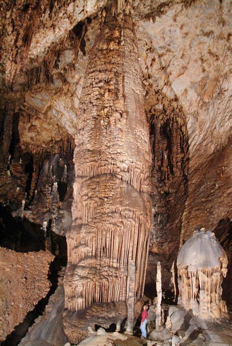 partecipazione Ambasciatore Costruire cava caves Ci vediamo domani vino ...