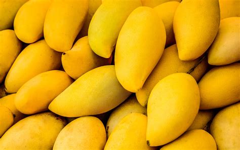 Mangoes in Pakistan: Varieties, Production & Export | Zameen Blog