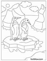 Free PENGUINS Coloring Pages For Download Printable PDF  VerbNow sketch template