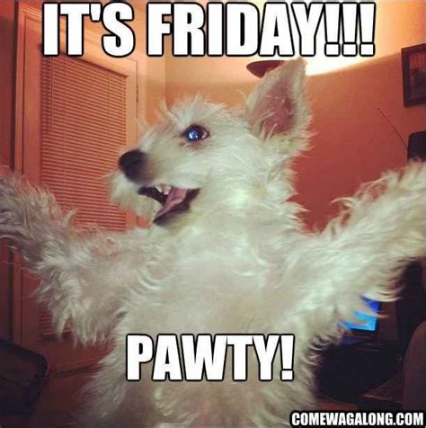 Thank God It's Friday - Dog Edition | Friday dog, Its friday quotes, Happy friday meme