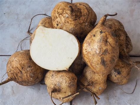 Jicama: Health benefits, nutrition, and diet tips