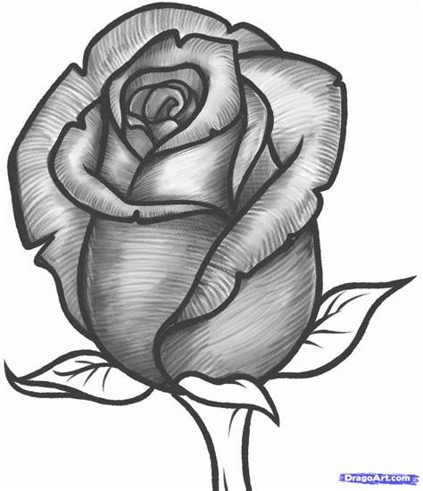 Resultado de imagen para imagenes para dibujar rosas Rose Drawing Simple, Simple Rose, Roses ...