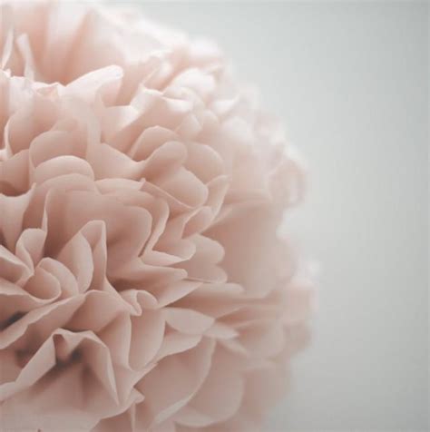 Paper Pom Poms Dusty Pink / Dusty Rose / Pale Pink Tissue Paper Pom Poms - Party Decorations ...