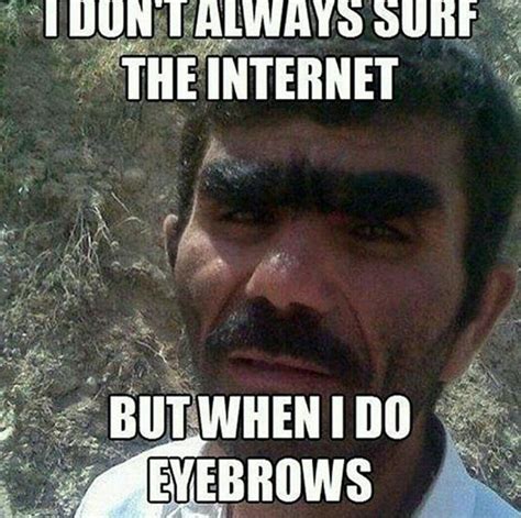 #unibrow #funny | Funny meme pictures, Funny pictures, Funny