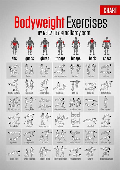 Pruebas y prácticas. Hojas dispersas: Bodyweight exercises.