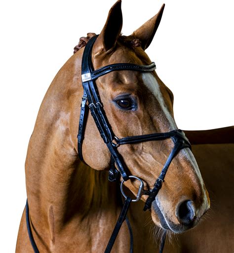 Fairfax Saddles - Dressage Saddles, Girths, Bridles & Horse Tack