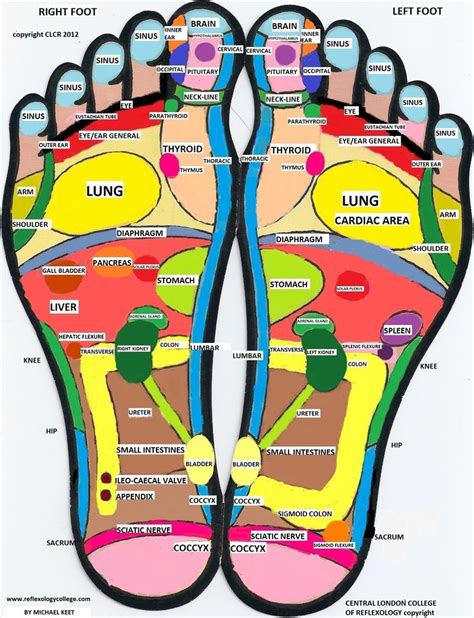 Reflexology Foot Chart, Reflexology Treatment, Reflexology Massage ...