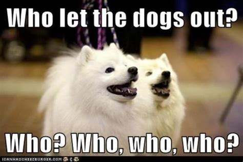 Who let the dogs out? | Who Let the Dogs Out? | Know Your Meme