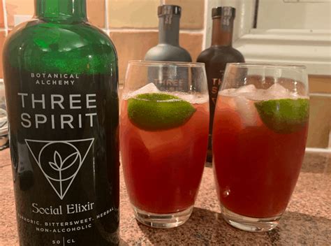 Three Spirit Review: Are These Drinks Worth It? - Tiny Little Changes