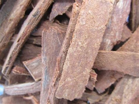 Mahogany Bark for Infusion Traditional African Medicine | Etsy