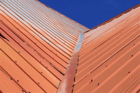 Tips For Painting Rusted Galvanized Metal Roof - Housekeepingbay