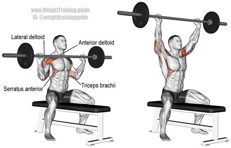 Seated barbell shoulder press guide and video | Weight Training Guide ...