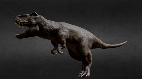 T-Rex - 3D model by Alessia (@arimmer) [c826fb3] - Sketchfab