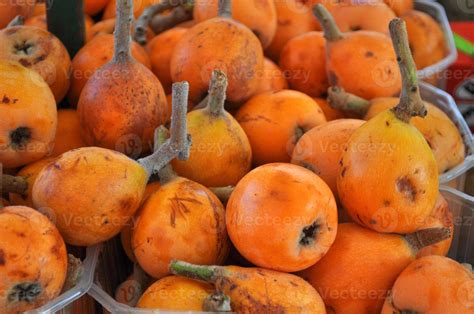 Common Medlar fruit 7020103 Stock Photo at Vecteezy