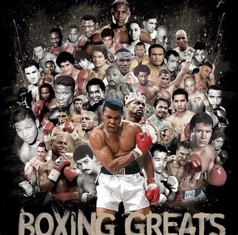 Boxing legends | Boxing posters, Boxing images, Boxing history