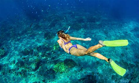 Snorkeling ¡Live your experience! - Bluebay Hotels & Resorts