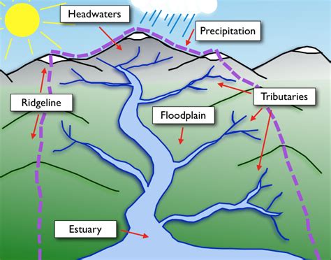 Managing water is crucial in designing and setting up a permaculture ...