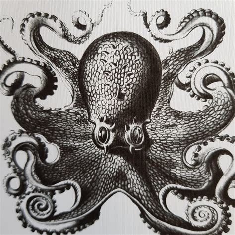 Pack of 5 Octopus Cards – Indigo Joy