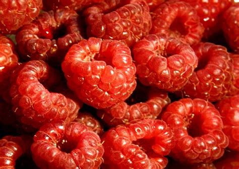 Free photo: raspberry, fruit, pie, raspberry cake, fruits | Hippopx