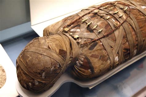 Mystery wrapped in linen: Unraveling the story of Hatason, a 3,200-year-old Egyptian mummy ...