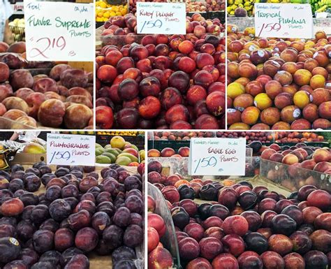 Plums: everything you need to know - Ask the Food Geek