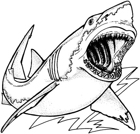 Coloring Pages: Shark Coloring Pages Free and Printable