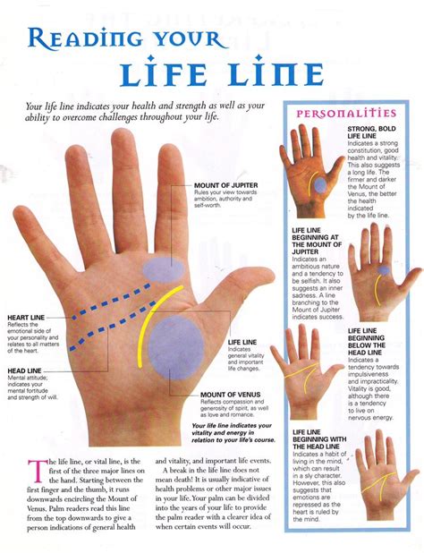 1000+ images about Palmistry on Pinterest