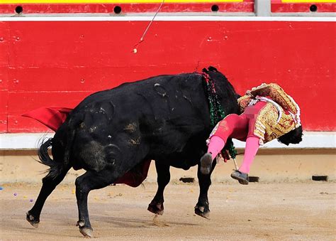 Moment 18-year-old matador is gored in Running of the Bulls festival | Daily Mail Online