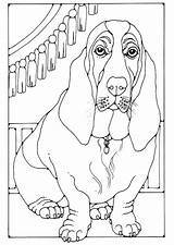 Basset Hound Coloring Page At GetColoringscom  Free Printable sketch template