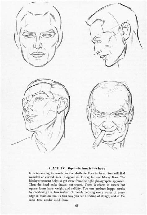 038 | Anatomy References for Artists via PinCG.com Drawing Heads, Human Drawing, Face Drawing ...