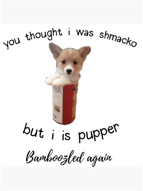 23++ Dog Memes Bamboozled - Factory Memes