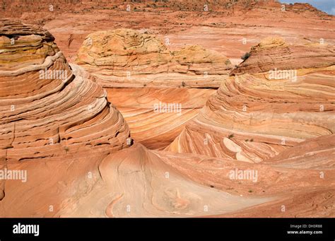 the wave in coyote buttes Stock Photo - Alamy